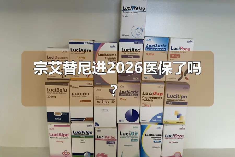 宗艾替尼进2026医保了吗?